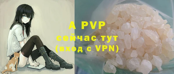 винт Елизово