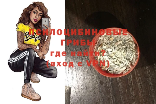 тгк Елабуга