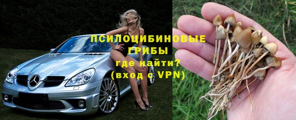 гашиш Заволжск