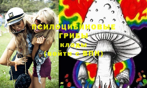 экстази Ельня