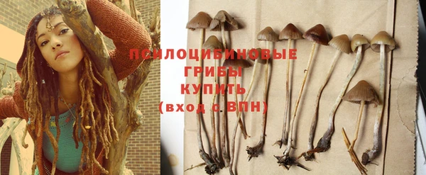 шишки Малоярославец