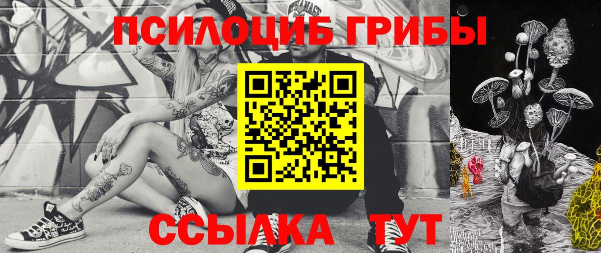 закладка  Пыть-Ях  Псилоцибиновые грибы Psilocybe  Псилоцибиновые грибы ЛСД 